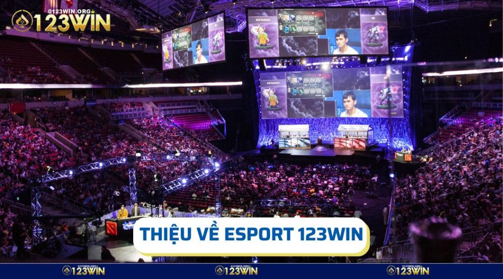 Esport 123win sảnh giải trí được đông đảo bet thủ ưa chuộng